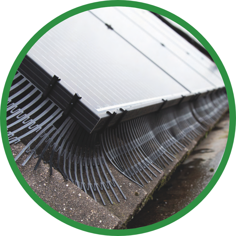 Samac | Solarguard® Protection System for Solar Panel Bird Protection